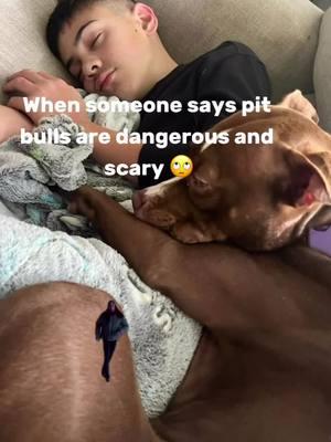 They are just big love bugs. She always lays with my son like this 💙 #pitbullsoftiktok #pittie #lovebug #pittiemom #unconditionallove #pittylove #fypシ゚viral #dogs #pitbulls_official 