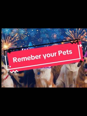 #fyp #foryoupage #foryourpage #shelterdogsoftiktok #shelterdog #tcas #fireworks #firework #shelterpetsoftiktok #shelterpet #shelterpets 