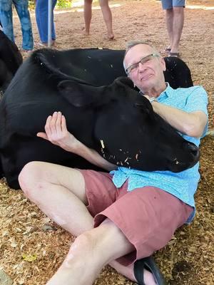 #cowcuddletherapy #hilohawaii #togetherwefollowtogetherwerise 