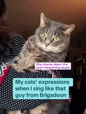 #brigadoon #musicaltheater #catfaces #catsreact 