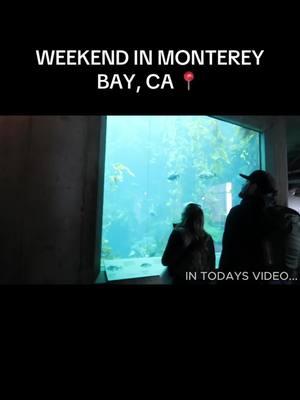 if you plan on traveling to monterey bay, watch this video 🫶🏽🫶🏽 #montereybay #montereybaycalifornia #montereybayaquarium #tipsyputt #gocar #gocartours #gocartoursanfrancisco 