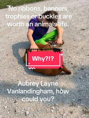 😞 sad day for the livestock showing world. #AubreyLayneVanlandingham #aubrey #livestock #livestockshow #countyfair 