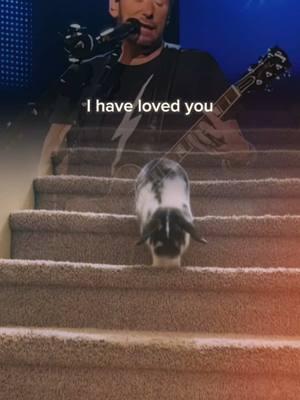 #CapCut I miss pepper every day (I see her about twice a year) #bunny #faraway #nickelback 