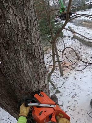 #chipping #howtocranetreeremoval #bluecollar #deflection #massachusetts #treeclimber #treeremoval #arborist #cranework #treestuff #Boston #petzl 