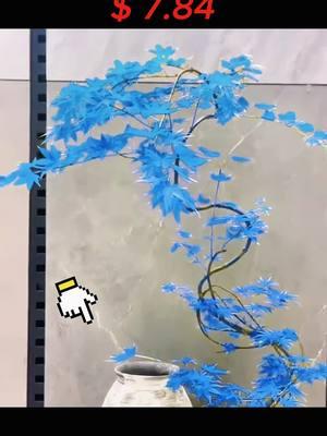 Ghost Blue Maple,Acer Palmatum,Japanese Maple 50 Seeds Deciduous Shrub Hardy Tree Rare Blue Maple Striking Landscaping Plant Great for Garden and Patio#TikTokShop #bloomingbeauty #indoorplants #fyp #hydroponics #planting #howtotiktok