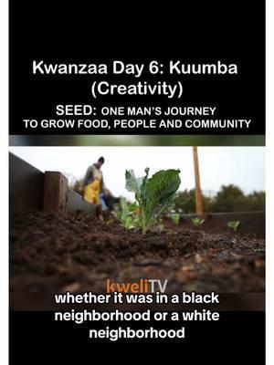 #Kwanzaa Day 6: Kuumba (Creativity) - Meet K. Rashid Nuri, who turned a housing project into an urban farm and food oasis for his community. SEED is Streaming for the Culture on kweliTV // #BingeOnTheCulture 