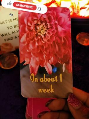 #oracledeck #soulmates #tarotcards #tarot #psychiclovereading #divinefeminine #divinemasculine #divination #fortunetelling #reconciliation #loveunion 