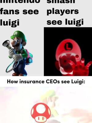 Final post of 2024, just unfollowed Vexbolts || #luigi #luigimanigone #usahealthcare #healthinsurance #brianthompson #2024 