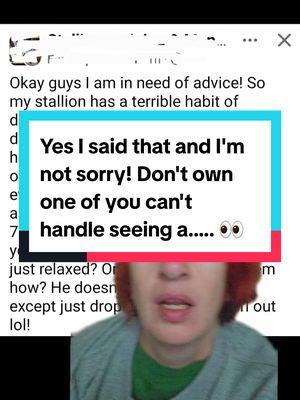 There are many reasons NOT to correct a sttttalllliioonn or a gelding for having his stuff out.  1. Trust building  2. It let's u check for injury and infection  3. It makes it easier to wash  4. It shows relaxation  5. It may signal a need to go number 1... 6. It can help the vet if he needs to check it ever 7. Your stalldndndon won't be afraid to perform when time.  Hangups over stuff like this is about us. We have to take the us out of that and except a horse is gunna do horse things and if you can't handle seeing ddddddd don't onw a stallion... or maybe even a gelding. Cause they got those... 👀  #greenscreen #stallion #gelding #horseeducation #equestrianeducation #horsemanagement #horsewelfare #horsecare #equestrians #horses #horsepeople #equestrianlife #horsestuff 