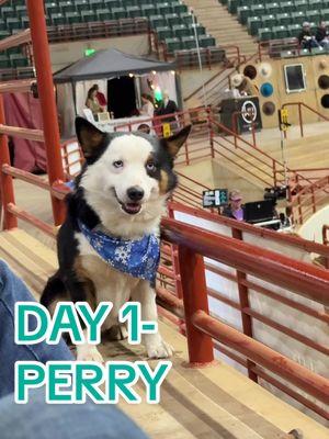 Day 1 in Perry #perrygeorgia #georgia #jinglebellclassic #barrelrace #barrelracing #horseindustry #adiospantalones 