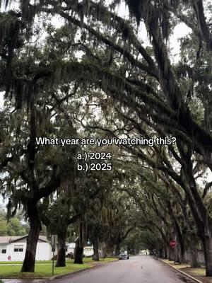 Im still in 2024 #mariaandreagho#fyp#2024#2025#newyear#trees#vexbolts 