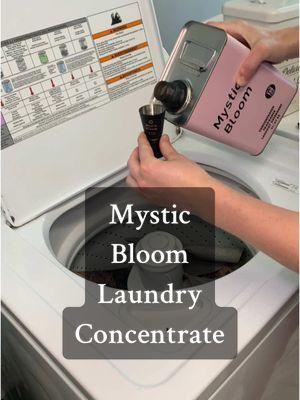 @Mystic Blooms has amazing smelling laundry detergent that will last a long time! 😍 #laundry #laundrytok #liquidlaundrydetergent #laundrydetergent #concentratedlaundrydetergent #CleanTok #tiktokshopyearendsale #giftguide 