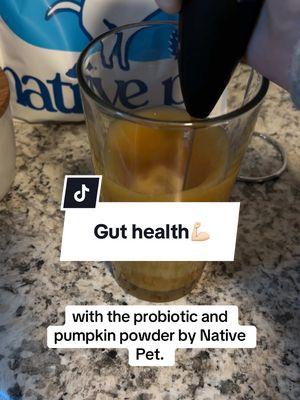 If you want some added gut support for your dog give the @Native Pet probiotic or pumpkin powder a try and use “JOVIE20” for savings! We also love their omega oil, goat milk and bone broth 👏🏻 #nativepet #nativepetprobiotic #nativepetpumpkin #nativepetgoatmilk #goatmilkfordogs #dogprobiotic #dogsupplements #pumpkinfordogs 