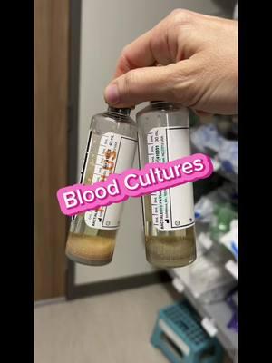 🩸 Know the order blood draws for blood cultures and why it’s important#bloodcultures #nurse #rn #nursingschool #nursingstudent #nursingnotes #nursesoftiktok #nursetoks #nursetok #futurenurse #newnurse #CapCut 