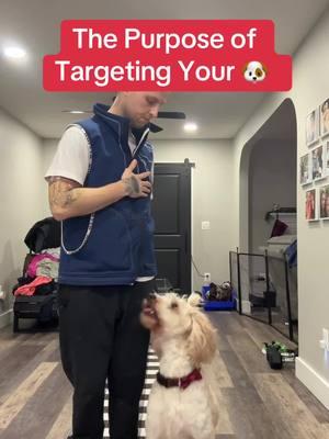 The Purpose of Targeting Your Dog #DogTraining #dogadvice #dogtrainerlife #positivereinforcement #clickertraining #dogtrainer #dogtrainertips #trainyourdog #dogtips #dogtrainingtips #dogtraining101 