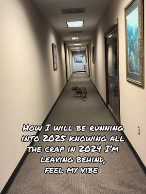 Happy New Year’s Eve friends #foryourpage #americanbullylover #dogsoftiktok #dog #officepup #fyp #pocketbully #pitbull #furmom #foryoupage #pocketbully #pets #foryoupage #officehumor #ladiesman #newyear #newyearseve #newyears #2025 #run #atlas #potato 