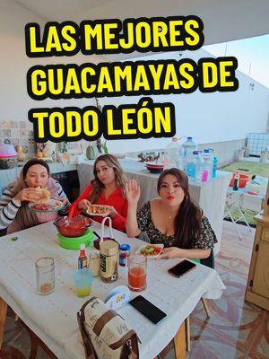 LAS MEJORES GUACAMAYAS DE TODO LEÓN GUANAJUATO #guacamayas #leon GUANAJUATO 