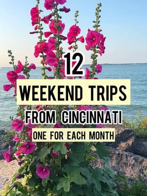 ropping a little 2025 travel inspiration into your feed with 12 great weekend trips from Cincinnati! 🚗⭐️ There are so many great cities and destinations within a few hours drive from Cincinnati so why not add a few to your calendar! 🗓️ ❄️January: Stay overnight at Hueston Woods Lodge in Ohio! This lodge is full of family-friendly amenities and take a winter hike at the state park.   ❤️ February: Discover Little Bavaria in Frankenmuth, MI . Home to Michigans largest indoor waterpark, this destination offers Hallmark movie charm with great family activities. ☘️March: Spend a luxury getaway at the French Lick-West Baden Resort in Indiana.  🏛️ April: Take the family to St. Louis, MO. Spend a day at the City Museum, go up in the historic St. Louis Arch and take a cruise down the Mississippi. 🌷May: Don’t miss Tulip Time in Holland, MI. You will feel as if you are in the Netherlands!  🎅June: Visit Holiday World in Santa Claus, Indiana 🥾July: Explore all the caves in Bowling Green, KY.  It’s the perfect home base for Mammoth Cave, Dinosaur World and Lost River Cave.  🌻 August: Explore Ohio’s Lake Erie Coast and Islands.  Hop on a Ferry to Put-In-Bay, spend a leisurely weekend at Lakeside or seek thrills at Cedar Point! 🍷September: Explore the charming small town of Centerville, IN. Go antiquing, visit nearby wineries and make a stop in Warm Glow Candle. 🎃October: Don’t miss the Headless Horseman Festival at Conner Prairie @visithamiltonco . It runs weekends in October. 🌳November: Visit Red River Gorge for scenic hiking and add in a  glow kayaking tour! 🎄 December: One of our favorite weekend trips, visiting the Christkindlmarkt in Carmel, IN! Add in a stay at the Carmicheal Hotel, cake at the Cake Bake Shop and a ride on the Nickel Plate Express! Which weekend trip would you go on first?!  #ohioexplored #exploreohio #USTravel #mwtravel #travelindiana #visitindiana #ohioadventures #weekendgetaway #weekendtrips #cincinnatiblogger #ohioblogger #ohiotheheartofitall #ohiogram #travelkentucky #kytourism #gogreatlakesbay #puremichigan #michigantravel #discovermichigan #michiganadventures #ohioisbeautiful 