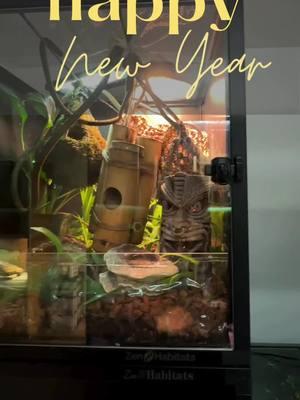 🎉✨ Happy New Year from all of us at Zen Habitats! 🦎💚 Here's to another year of creating amazing spaces for you and your pets to thrive. 🏡 Wishing you health, happiness, and plenty of reptile cuddles in 2025! 🥂 #HappyNewYear #ZenHabitats #ReptileCare #NewYear2025