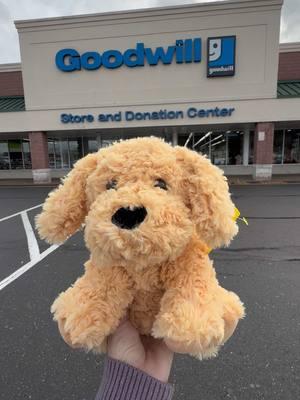 Accidentally getting to Goodwill as soon as the doors open definitely had its advantages! So many amazing fines today! Let me know what you would’ve taken home!! @Goodwill Industries Intl. #thrift #thrifted #goodwill #plush #buildabear #plushie #warmies #dolls #fyp #foryou 