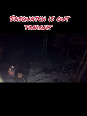 Sasquatch adventure#2024Trending #LOOK #Michigan #Sasquatch #mythical #Paranormal #crazy #Cryptid #Michigan mythical creatures#Rottweiler#outdoor adventure#nighthike#realorfake?#🥹