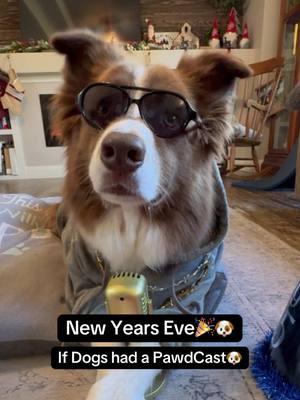 Welcome to the New Years Eve PawdCast Podcast🎉🐾 #podcast #pawdcast #newyearseve #dogtok  @Josh Benson 