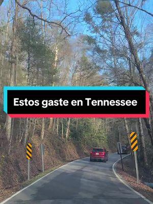 Cabañas en tennessee Dia 1  #atlanta #tennessee #gatlinburg #pigeonforge #usa #roadtrip #travel #viaje #viajando #traveltips #travelbucketlist #cabin #cabañas #georgia #alabama #atl #atlblogger #luxurystay #stays #atlantageorgia 