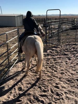 Insert “Mom Clinician.” #smilinranchco #firstride #ramona #gus #thegoodlife #smilinranchadventures #visitnebraska #aqha #filly #longyearling #coltstarting 