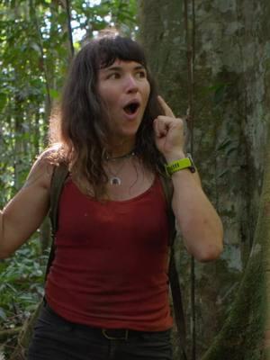 Getting a call? Vlogger and adventurer @Eva zu Beck is! ☎️ #Superskilled #Rainforest #Adventure