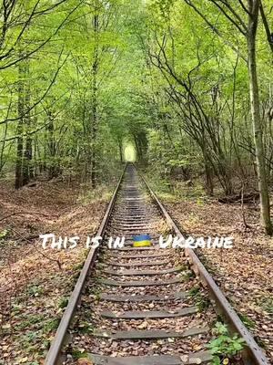 #ukraine #spooky #tunneloflove #ukraine🇺🇦 #onthisday 