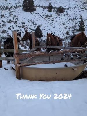 2024 Recap... If good times were dollars, we'd have a million bucks! #2024recap #newyearseve #anotherchapteroflife #horsewoman #outdoorwomen #horsebackwanderer #mountainlife #lifeoutwest #bojangleshorsecompany 