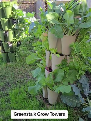 @GreenStalk Vertical Gardens  I love these towers! I planted on purchasing 2 more for the up coming spring for our front porch. I don't have a discount code.. sorry. check out their site for details and deals. #garden #gardening #containergarden #greenstalk #texasgarden 