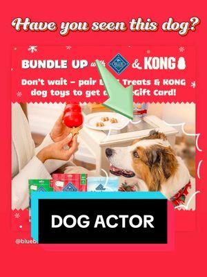 This dog actor was on a mission… cue the extra treats! 🎬 We had a great time on set for @Blue Buffalo & @kong.company for their holiday shoot collaboration! We are so excited because our dogs LOVE their KONG toys and the Blue Buffalo Nudges Grillers (chicken).  Whidbey was found all over @Petco and online for advertising! We hope we brought you some JOY this season. 😉  Trainer: Chrissy Joy  #doglover #setlife #dogactor #actorlife #cutedog #cutedogsoftiktok #bordercollies #bordercolliesrock #actor #actorslife #dogtrainer #DogTraining #onset #filming #dogoftheday #dogadventures  #dogvideos #funnydog #funnyanimals #kidfriendly 