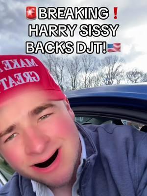 Join the movement!! #trump #democrat #harrysisson #usa🇺🇸 #maga #biden #funny 