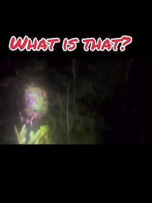 Crazy sounding creature #2024Trending #LOOK #Michigan #Sasquatch #mythical #Paranormal #crazy #Cryptid #Rottweiler #Bigfoot #night #huronnationalforest #🥹 #outdooradventures 