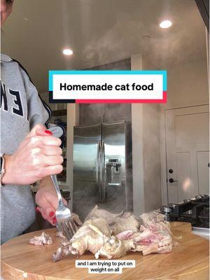 So far they’ve been loving it. I also feed canned and dry food #mainecoon #birdflu #cat #catsoftiktok #cattok #ezcomplete #catfood #foryou #fyp 