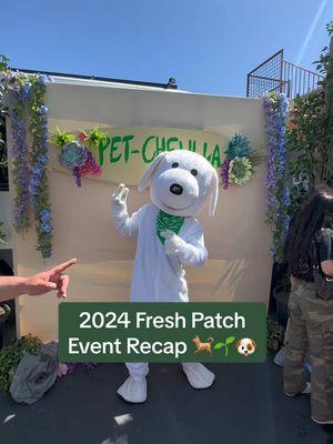 2024 was a busy year for the Fresh Patch Team and @Patches 🐶🌱 We had a blast meeting so many pups and dog parents! We can’t wait to make more memories with you! #FreshPatch #dogsoftiktok #dogparents #losangeles 