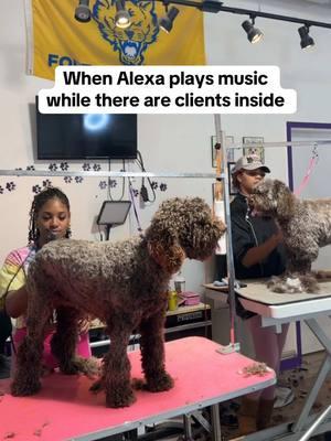 You just never know with Alexa 😂 • • • • • • #atlantadoggroomer #atlantagroomer #doggroomer #doggroomersoftiktok #businessowner #happyheartspetcareservicesatl #atlanta #doggroomerhumor #groomerhumor #businessownerhumor #officehumor 