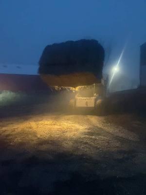 Just a wee bit foggy. #peasoup #froggy #fog #foggy #hay #loadinghay #haybundles #balebundle #horsehay #hayisforhorses #haytok #haylife #farmtok #farmlife #agtok #aglife #horselife #ag #skidsteer #bobcatequipment #wiwx #bobcatskidsteer #thickfog 