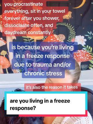 Adding in breathing exercises throughout the day (set timers if you can) are a great starting point to get out of this freeze response.  If you want to dig deeper into rewiring your brain and regulating your nervous system, book your free consult with us (link in bio)!  #freezeresponse #dissociated #dissociation #holdmybreath #stressrelease #somatichealing 