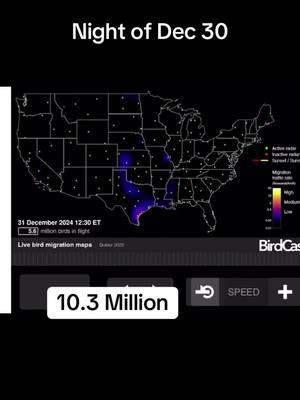 #december #birds #birdcast  #cornell #dailyupdate #birdsoftiktok #science #audubon #numbers #data #outside #patterns #birders #habitat #migratorybirds #ducksunlimited #sierraclub #migration 