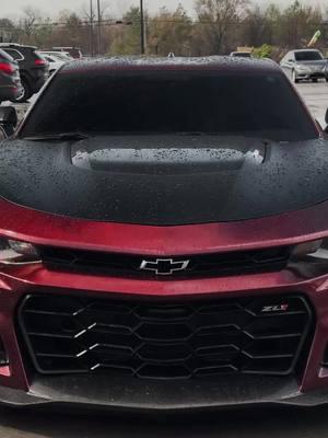 Dispatch be advised… #c#camaroc#camarozl1c#camarozl1c#camarozl11lez#zl1z#zl11lez#zl1camaro6#6thgencamaroc#chevroletc#chevroletcamaroc#chevyc#camarosm#musclecarf#foryoufyp