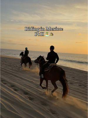 Riding on the beach in mexico pt II #equestrian #trailride #ridingonthebeach #beachriding #equine #horseriding #horse #trailhorse #gallop #galloping #gallopinghorse #canter #beach #mexico #horsesinmexico #fypシ゚viral 