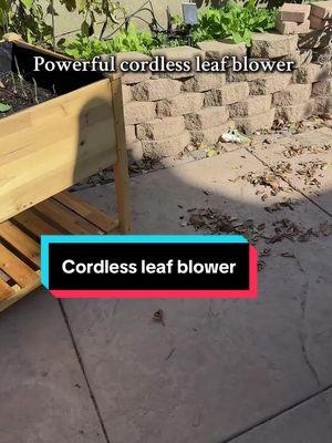 Cordless leaf blower #cordlessleafblower #fyp #punjabi #compactleafblower #gardenmusthaves #flashsale 