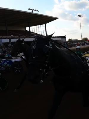 The 2024 Season has come to end. Thank you to everyone who has followed and supported harness racing! #CapCut #harnessracing #ustrotting #2024recap 