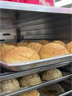 📍 1701 W El Segundo Blvd Gardena, CA  90249 My Pancecito Mexican Bakery in Gardena! #bakery #mexicanbakery #pandulce #conchas #sweetbread #bakedgoods #cookies #concha #partydessert #desserts #mexican #sweets 