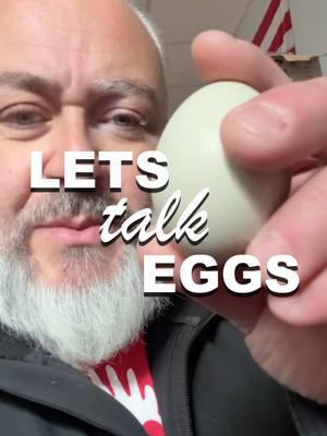 Your chickens have finally laid an egg. Now what? #carolinacoops #chickencoop #chickens #backyardchickens #freaheggs