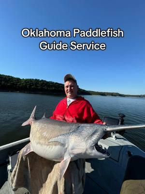 Little throwback to early fall putting the @Meat Hunter Rods and @Piscifun reel to work! #paddlefish #spoonbill #fishtok #opg #fishing #seaarkboats 