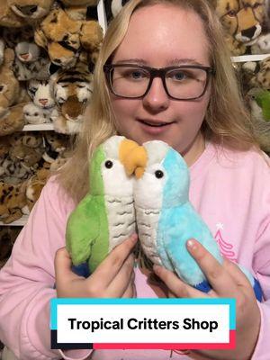 #quakerparrot #parrot #monkparrakeet #parrotplush #birdplush #plush #plushtoy #plushie #smallbusinessowner #smallbusinesstiktok #smallbusinesscheck #SmallBusiness #plushiebrand #tropicalcritters #tropicalcrittersshop 