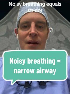 Noisy breathing always indicates an awareness someplace in the airway. In this case, it was right below the vocal cords and needed to be dilated. There’s also a :-) on the x-ray which was cute. #Breathing #Noisy #Airway #Stridor #ICU #OR#Narrow #Narrowing#ForYou 